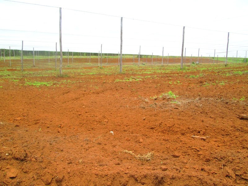 Mount Hallen QLD 4312