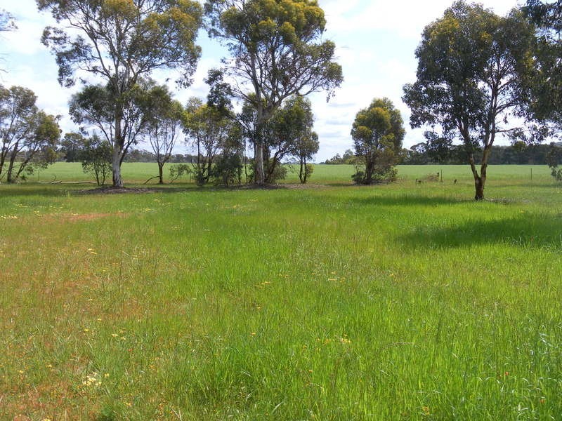 60 Olive Road, Wundowie WA 6560