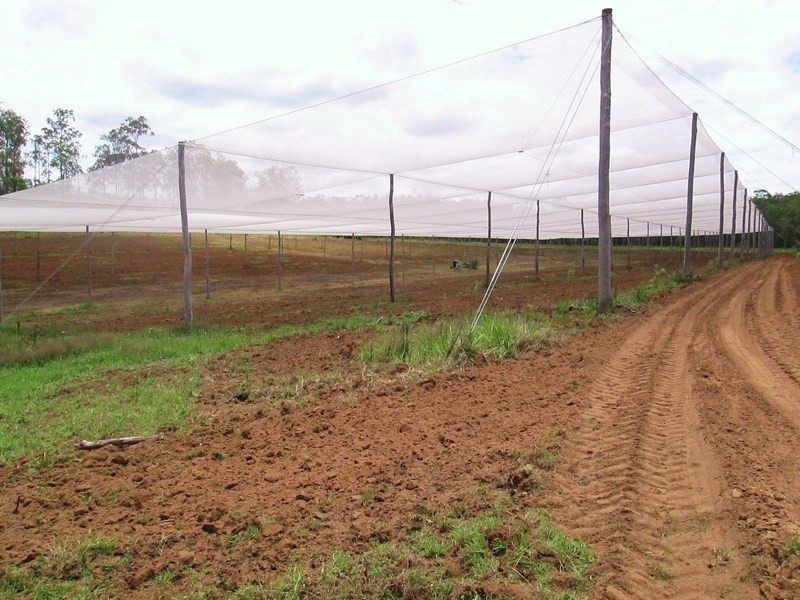 Mount Hallen QLD 4312