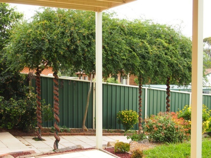 47  WOOLLYBUTT WAY, Muswellbrook NSW 2333