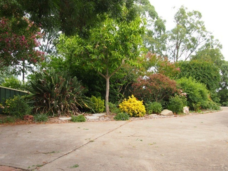 47  WOOLLYBUTT WAY, Muswellbrook NSW 2333