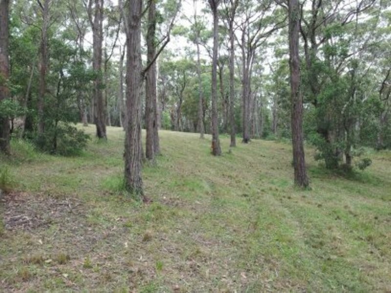 56 Wire Lane, Berry NSW 2535