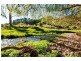 95 Wild Dog Road, Apollo Bay VIC 3233