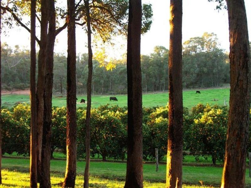 229 Scarp Road, Keysbrook WA 6126