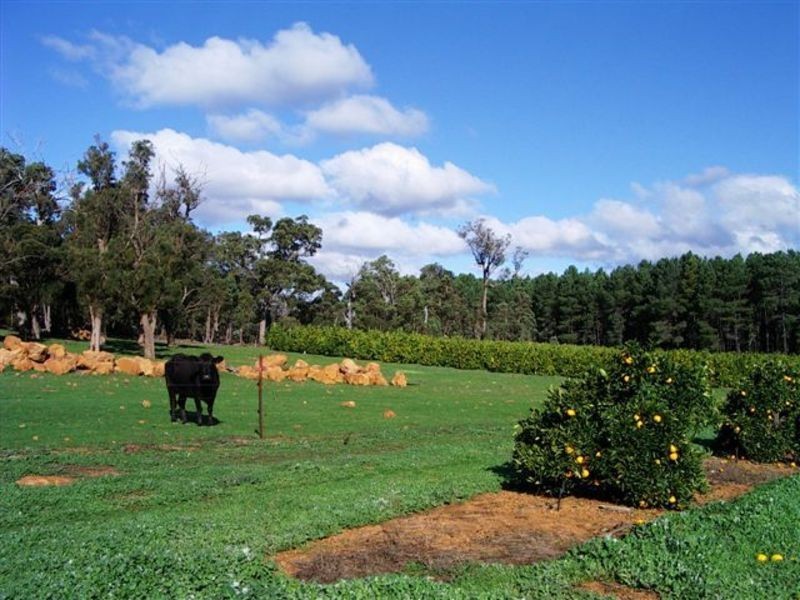 229 Scarp Road, Keysbrook WA 6126