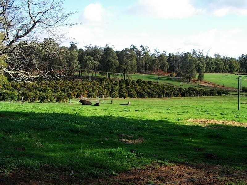 229 Scarp Road, Keysbrook WA 6126