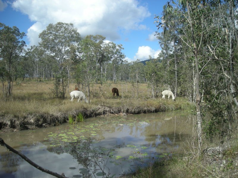 28 Kiora Rd, Miriam Vale QLD 4677