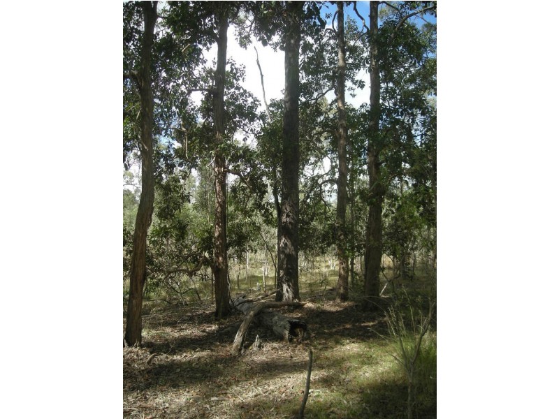 28 Kiora Rd, Miriam Vale QLD 4677