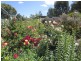32 Pegasus Drive, Dromedary TAS 7030
