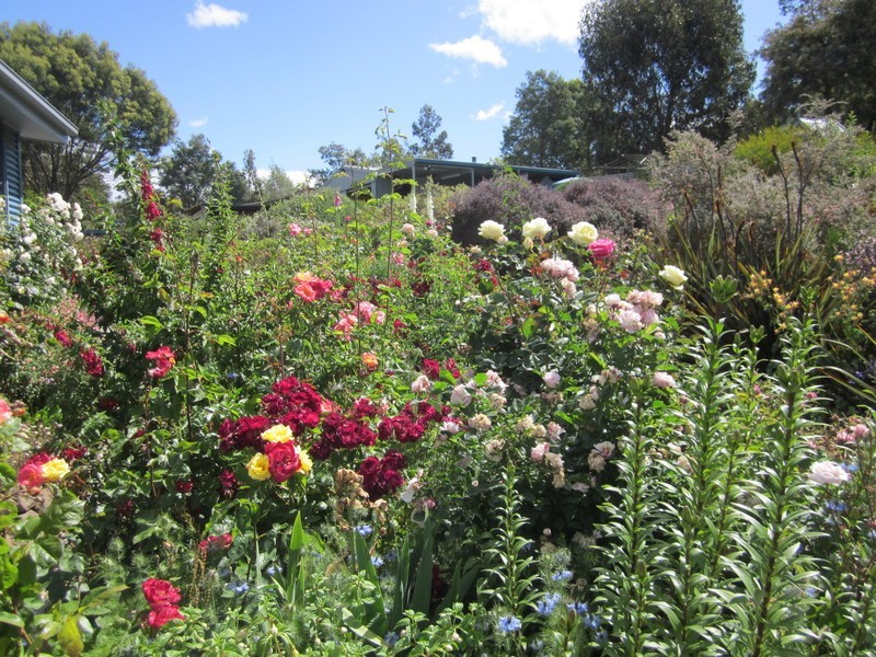 32 Pegasus Drive, Dromedary TAS 7030