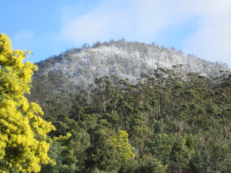 32 Pegasus Drive, Dromedary TAS 7030