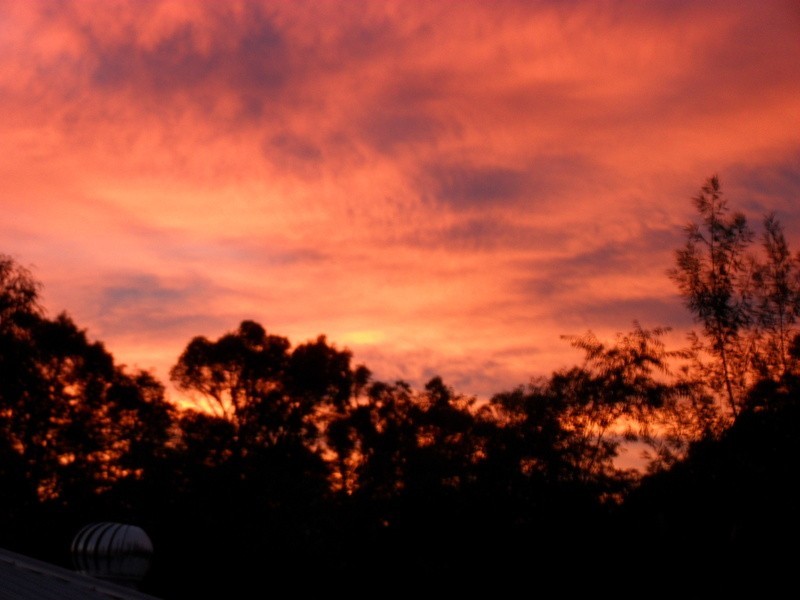 13 Cockatoo Drive, Nannup WA 6275