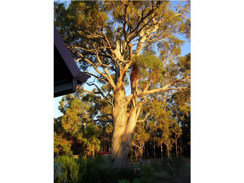 13 Cockatoo Drive, Nannup WA 6275