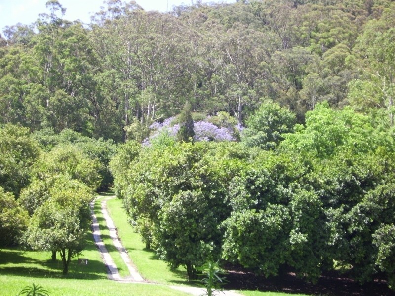 34 Macadamia Lane, Wyong Creek NSW 2259