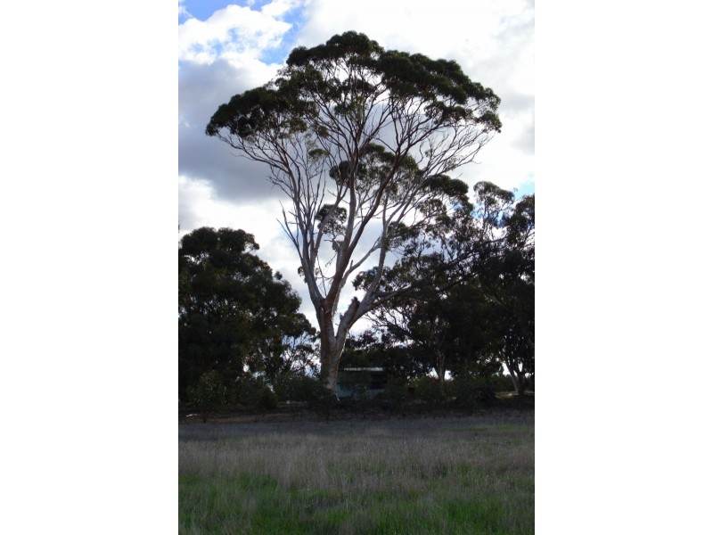 180 Tie Line Road, Woodanilling WA 6316