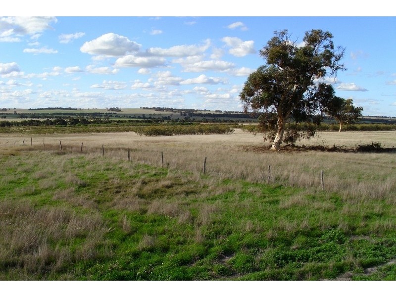 180 Tie Line Road, Woodanilling WA 6316