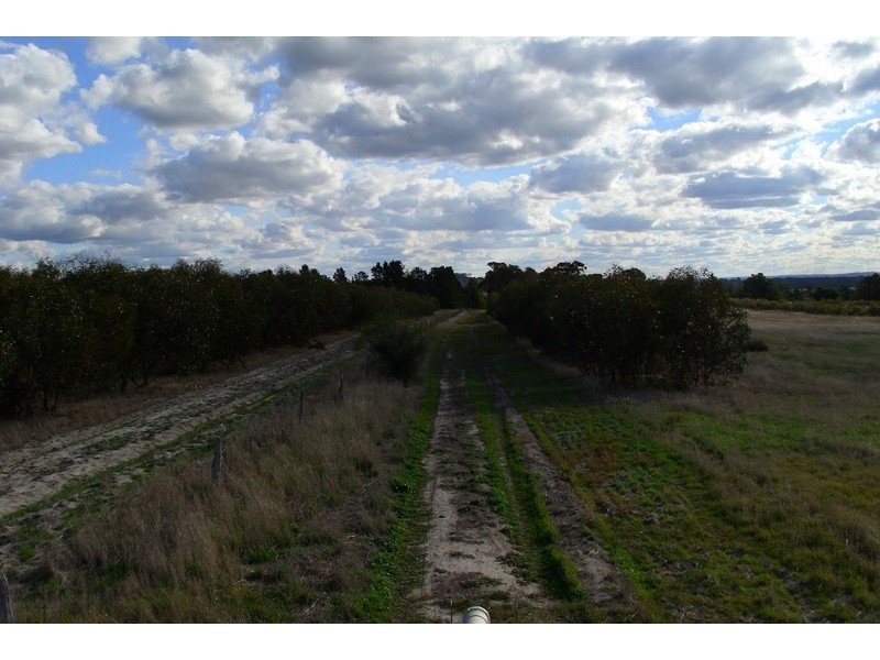 180 Tie Line Road, Woodanilling WA 6316