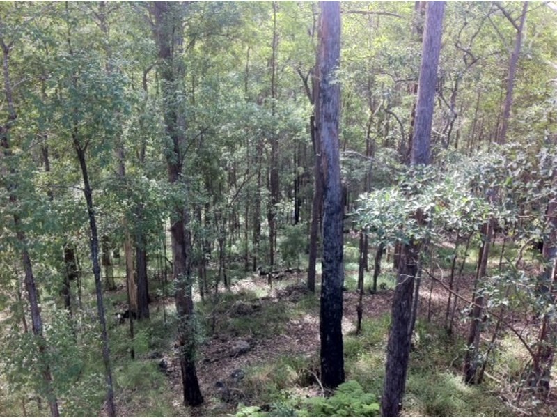 76 Foxtail Rise, Doonan QLD 4562