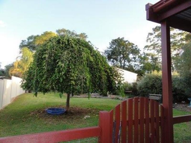 17 Sandy Lane, Cardross VIC 3496