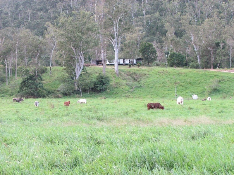 5204 Abergowrie Rd, Abergowrie QLD 4850