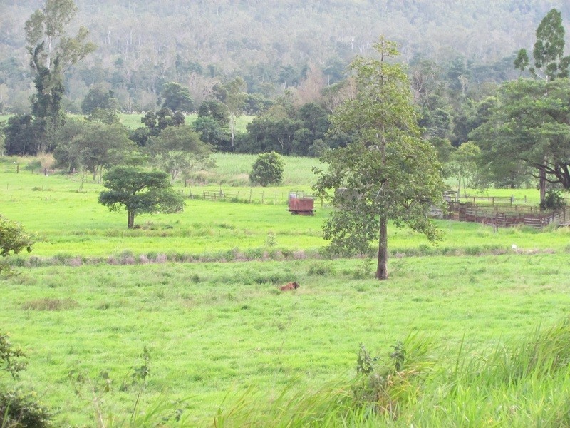 5204 Abergowrie Rd, Abergowrie QLD 4850