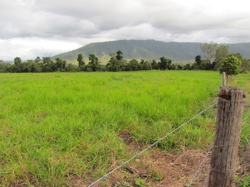 5204 Abergowrie Rd, Abergowrie QLD 4850