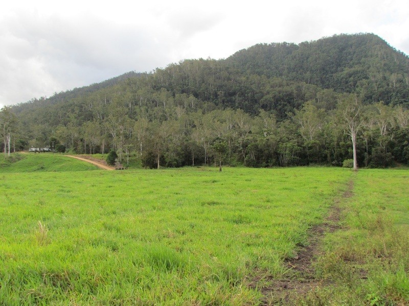 5204 Abergowrie Rd, Abergowrie QLD 4850