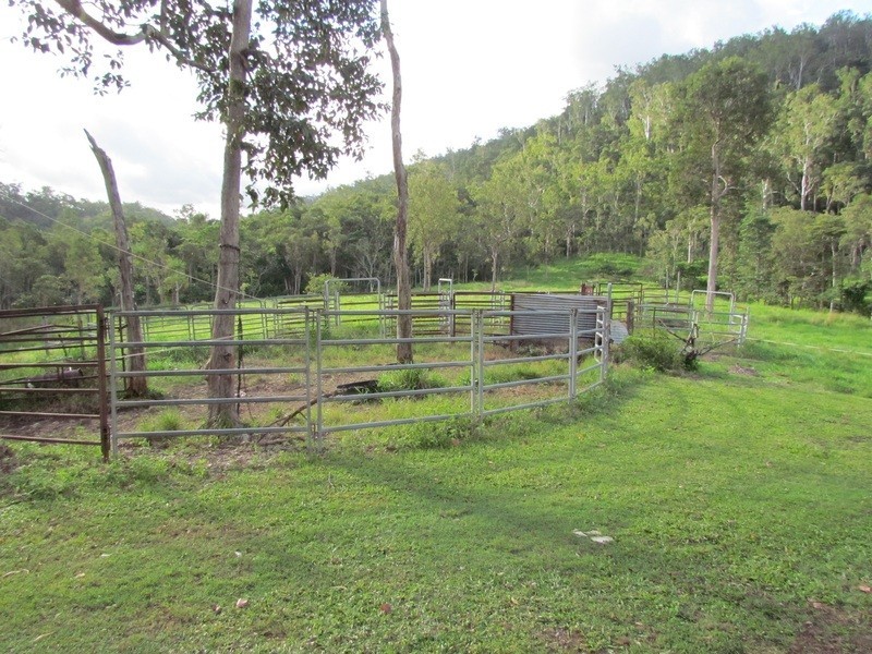 5204 Abergowrie Rd, Abergowrie QLD 4850