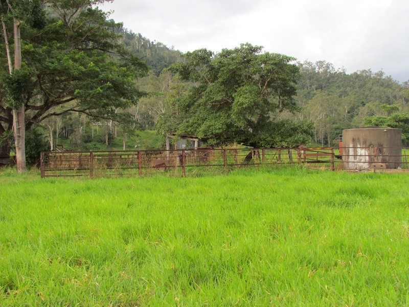 5204 Abergowrie Rd, Abergowrie QLD 4850