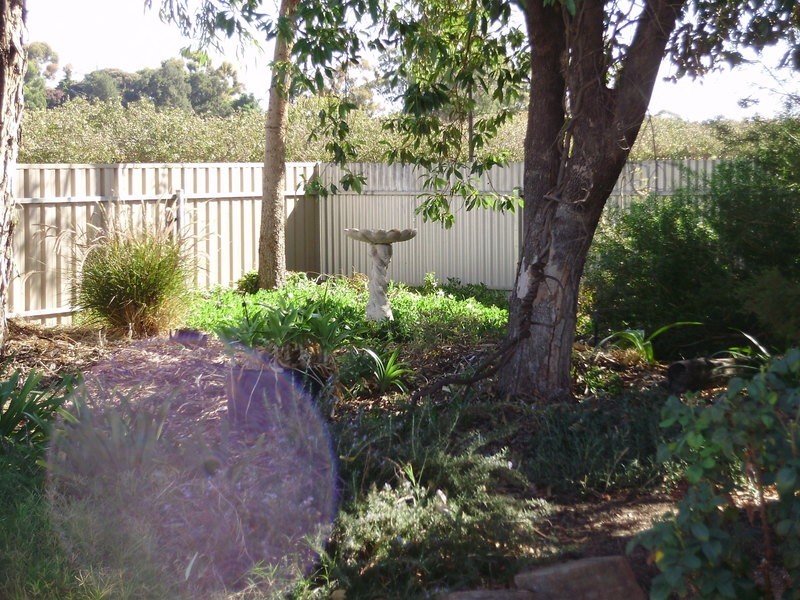 8 Barrington Street, Renmark SA 5341