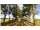 222 Mingo Road, Gin Gin QLD 4671