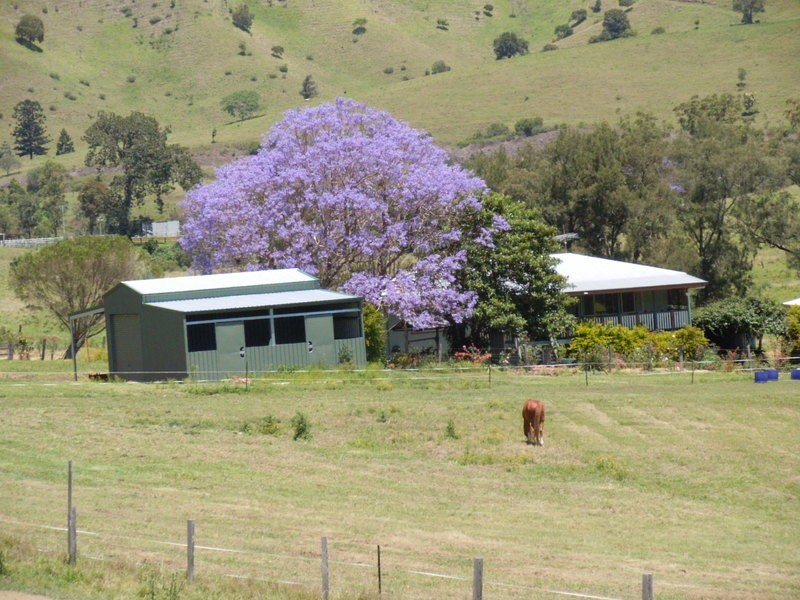 19 Waiweer Rd, Running Creek QLD 4287