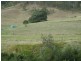 19 Waiweer Rd, Running Creek QLD 4287