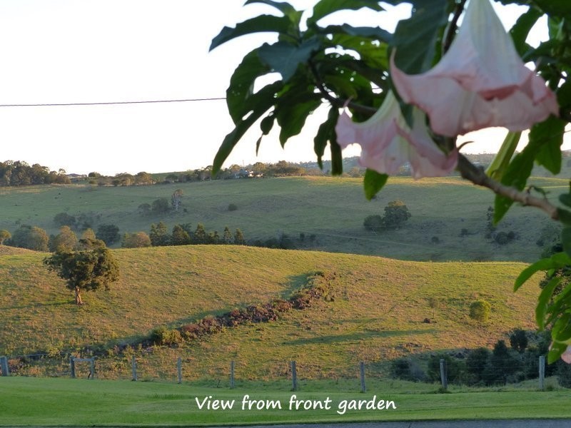 11 Lowani Court, Richmond Hill NSW 2480