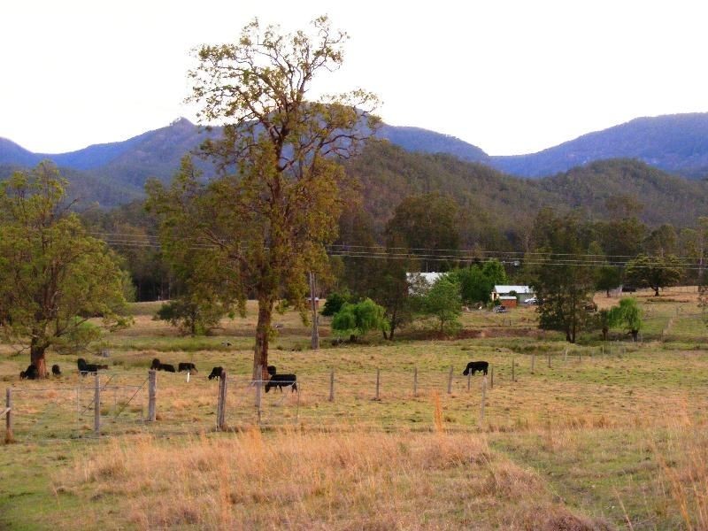 Lower Creek NSW 2440