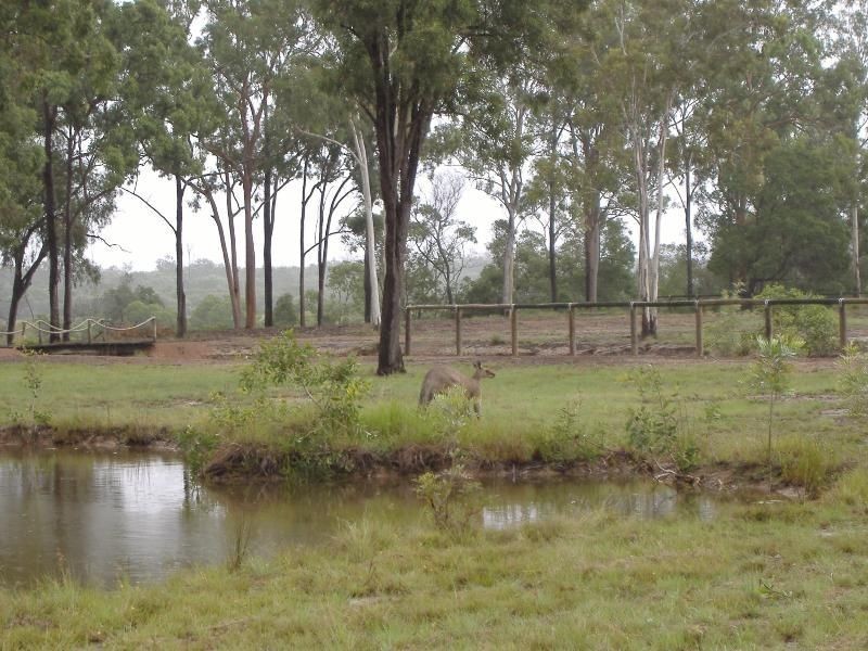 Burrum River QLD 4659