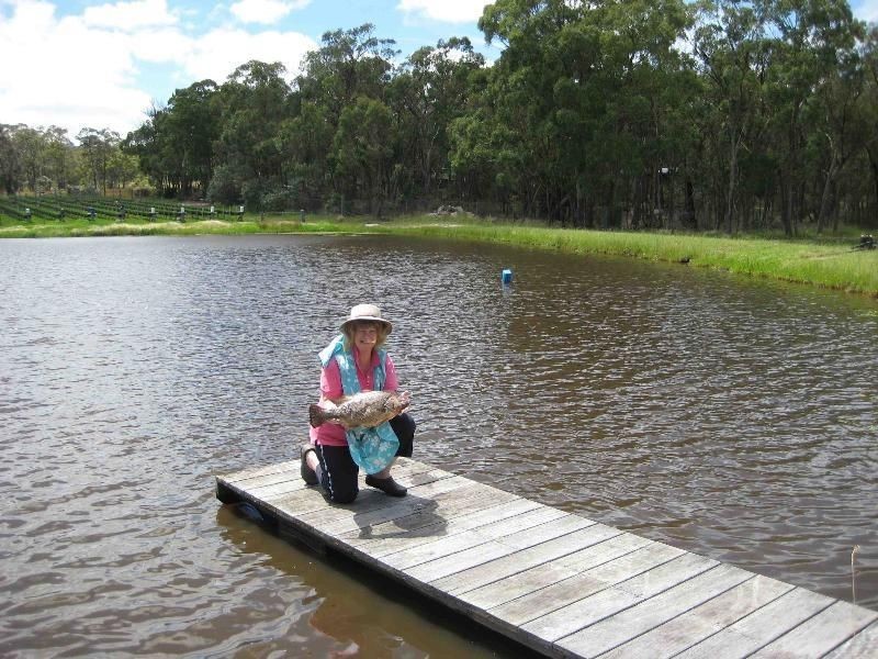 Applethorpe QLD 4378