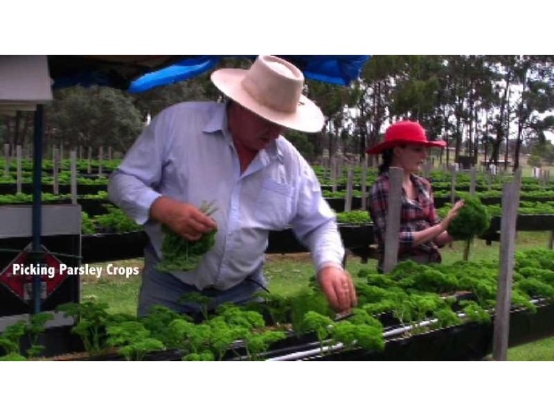 Applethorpe QLD 4378