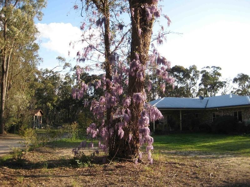 Applethorpe QLD 4378