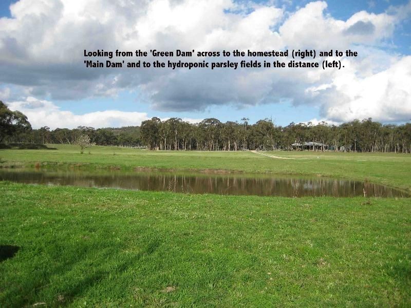 Applethorpe QLD 4378