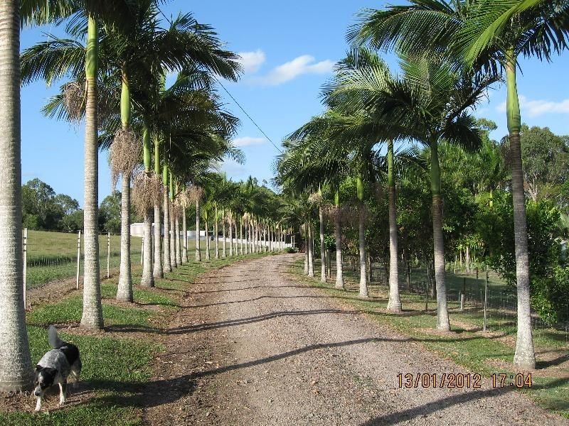 387 Pioneer Rd, Mungar QLD 4650