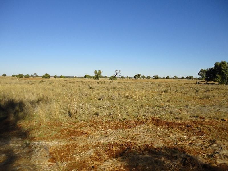 Nyngan NSW 2825