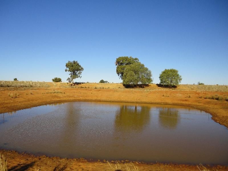 Nyngan NSW 2825