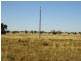 Nyngan NSW 2825