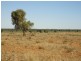 Nyngan NSW 2825