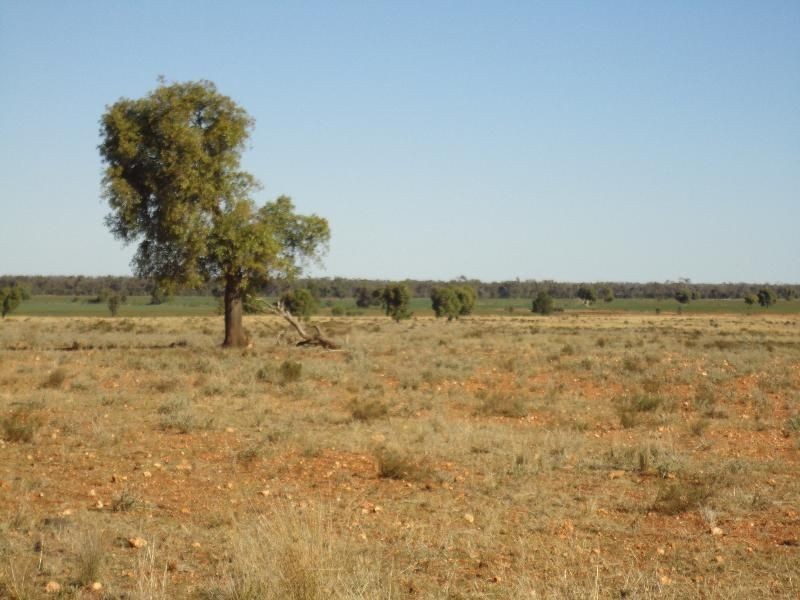 Nyngan NSW 2825