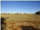 Nyngan NSW 2825