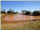 Nyngan NSW 2825