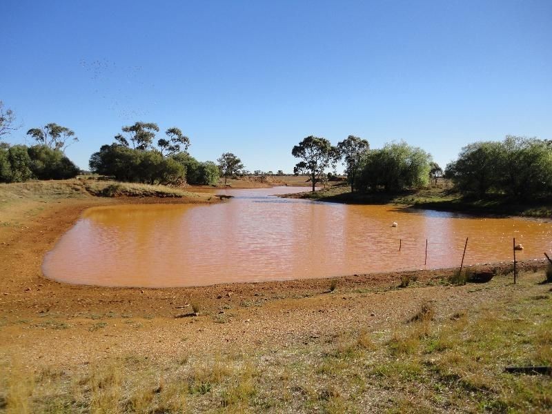 Nyngan NSW 2825