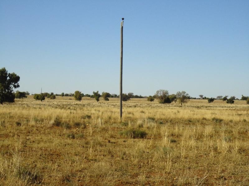 Nyngan NSW 2825